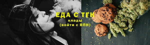 индика Аркадак