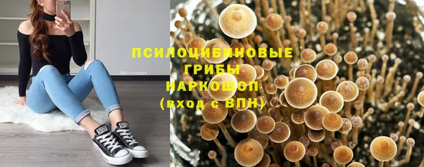 индика Аркадак
