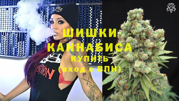 индика Аркадак