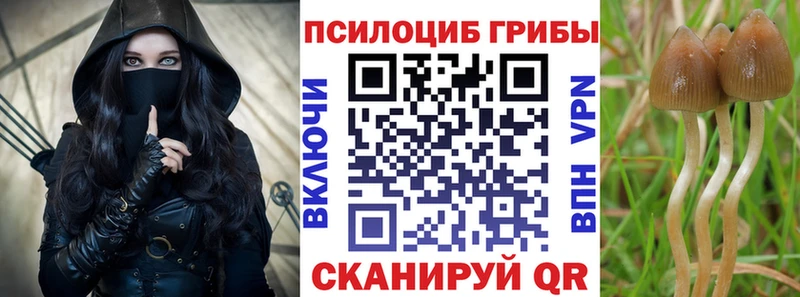 Галлюциногенные грибы GOLDEN TEACHER  Старая Русса 